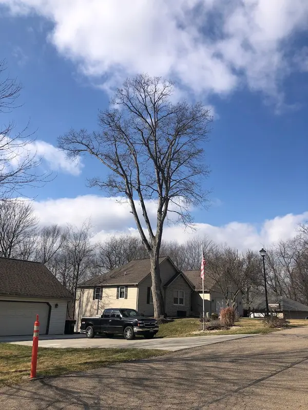 Premier Arborist Services — view 1 of 1
