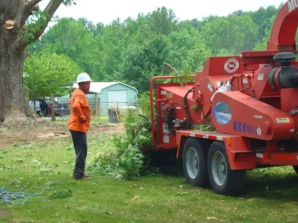 Rainey Tree Service — view 1 of 1