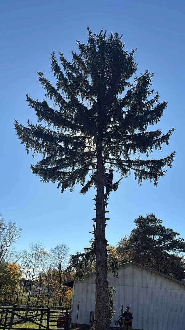 Red line Tree Services — view 1 of 1