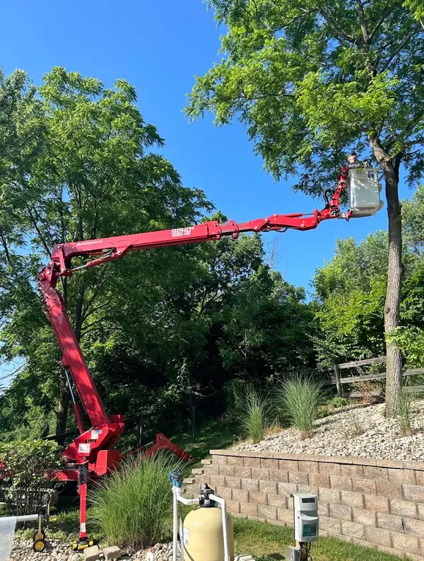 Richey Tree Service LLC — view 1 of 1