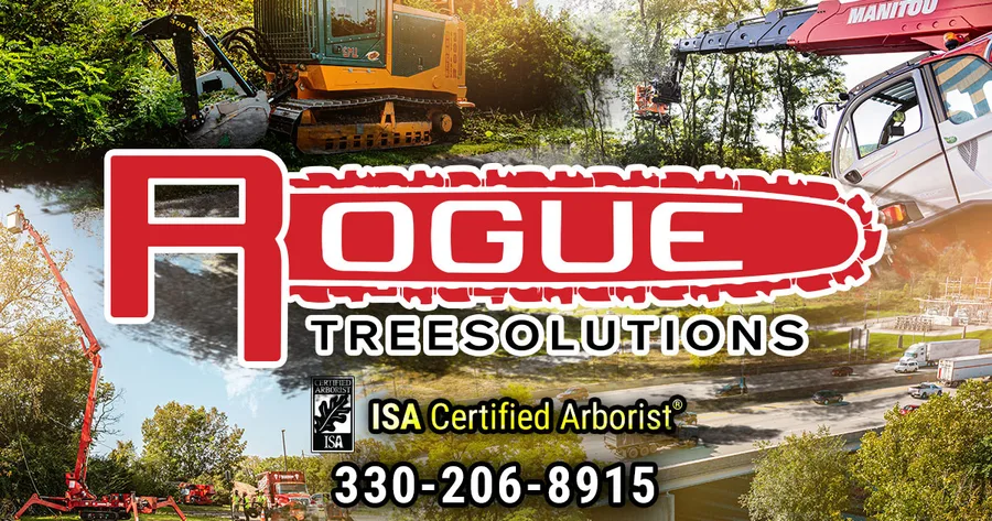 Rogue Tree Solutions — view 1 of 1