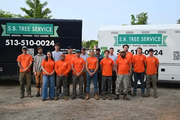 S. B. Tree Service Cincinnati — view 1 of 1