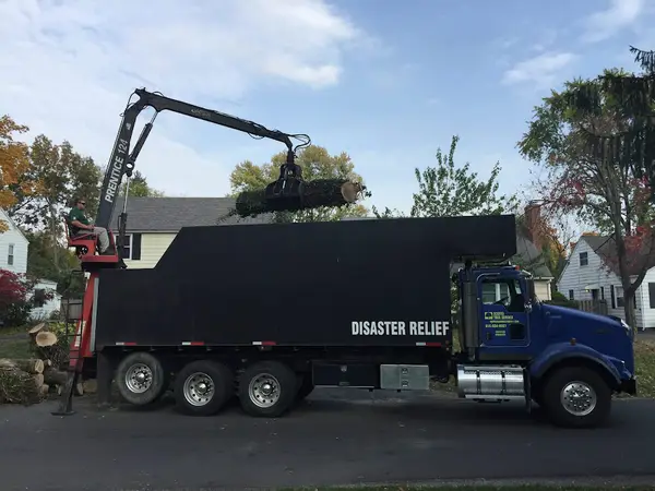 Scotts Tree Experts — view 1 of 1