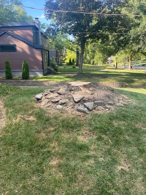 Simplethanks Tree Care — view 1 of 1