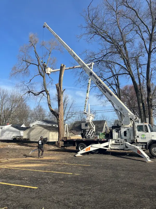 Steve's Tree Services, Landscape, Hauling & Excavating — view 1 of 1
