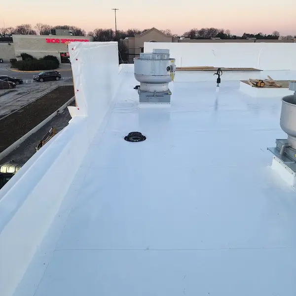 Strongback Roofing and Construction — view 1 of 1