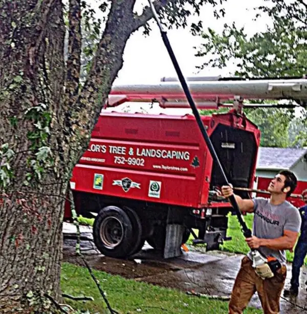 Taylor's Tree & Landscaping — view 1 of 1