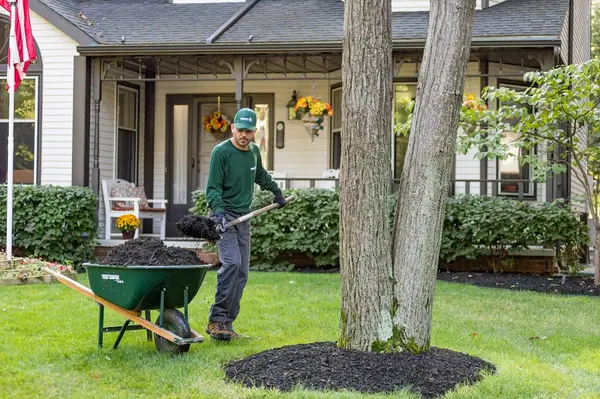 The Davey Tree Expert Company — view 1 of 1