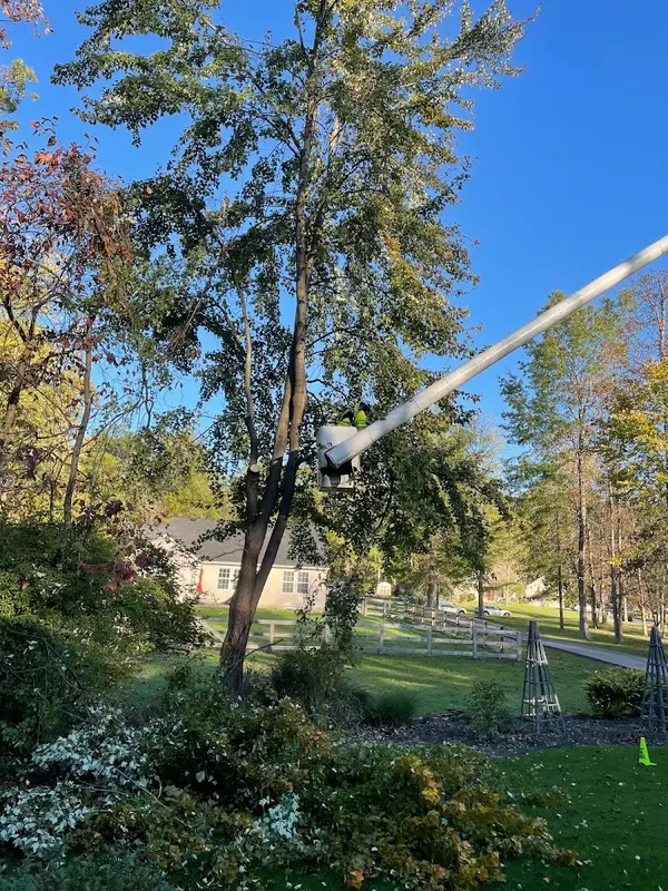 The Davey Tree Expert Company — view 1 of 1