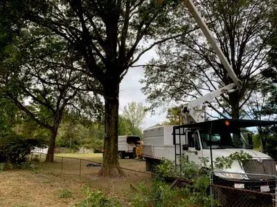 Tree Experts — view 1 of 1