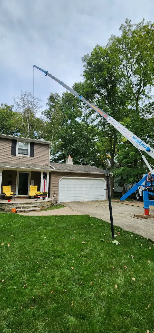 Tree Maintenance Services Inc. — view 1 of 1
