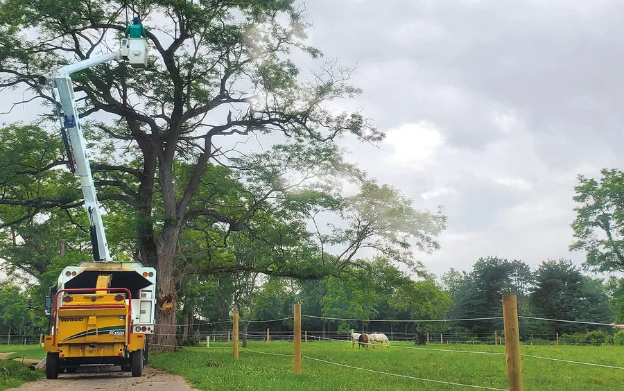 Tree-Mend-Us Tree Service, Inc. — view 1 of 1