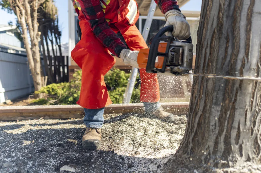 Tree Tender LLC — view 1 of 1