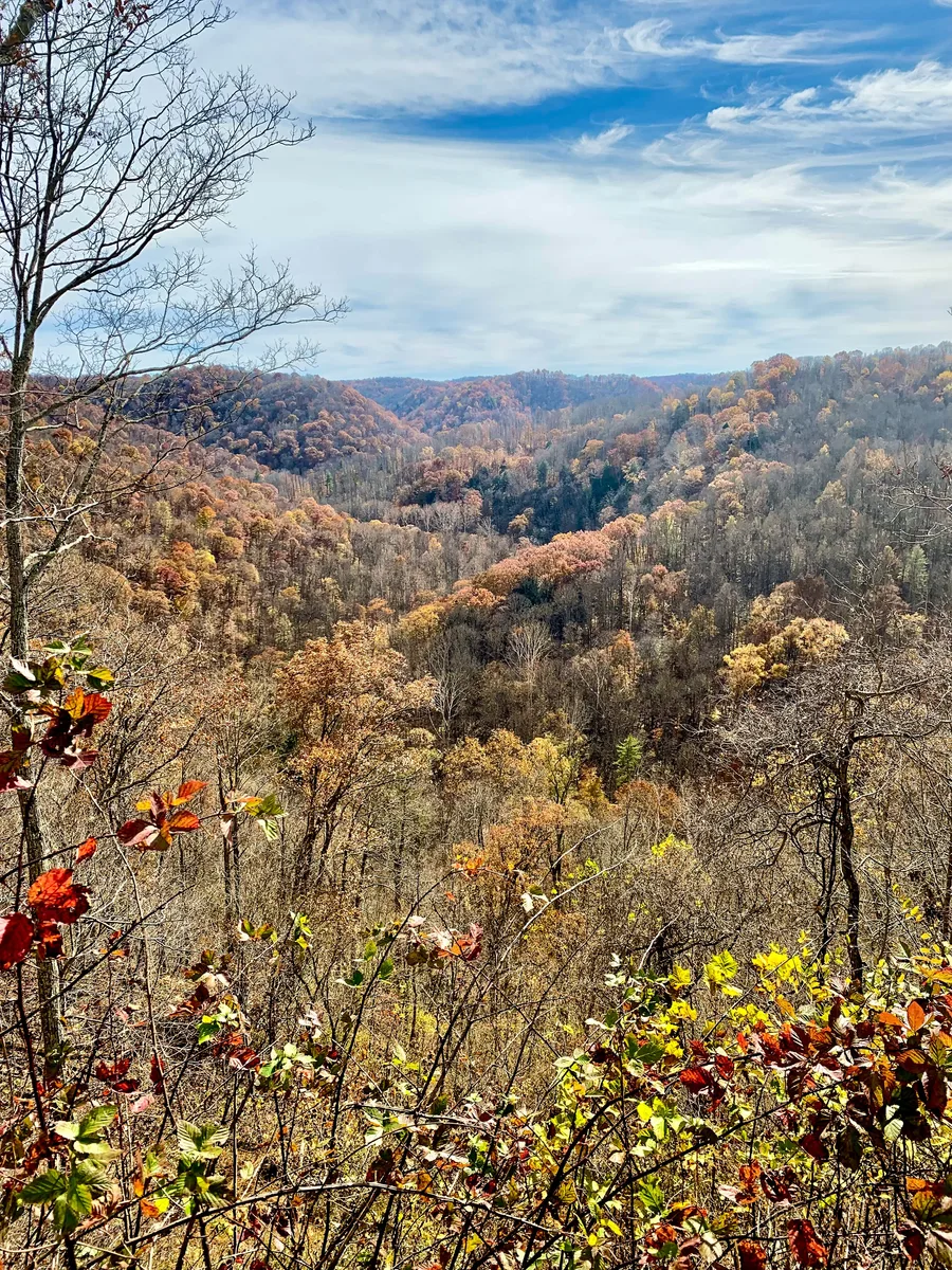 Wild Land Management LLC — view 1 of 1