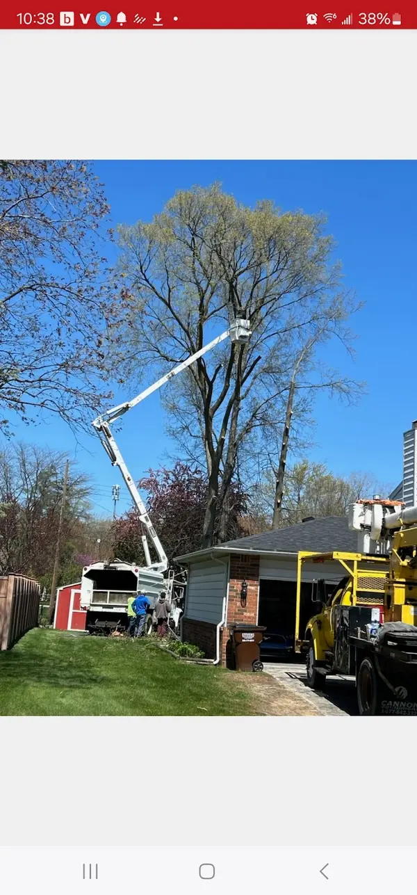 White's Tree Service LLC — view 1 of 1