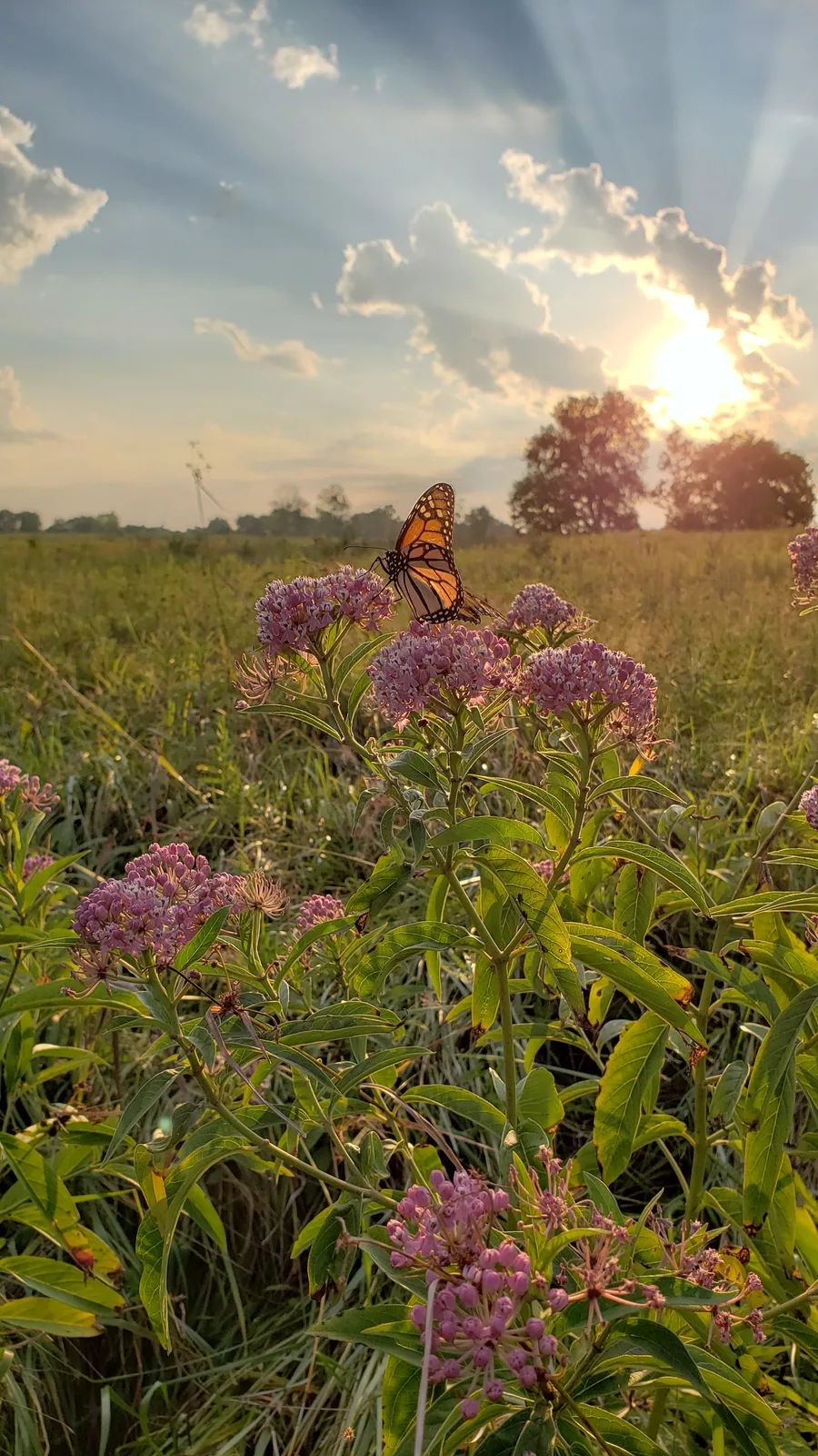 Conservation Contracting, LLC — view 1 of 1