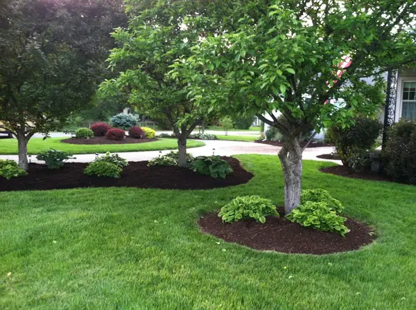 Wiser Lawn — view 1 of 1