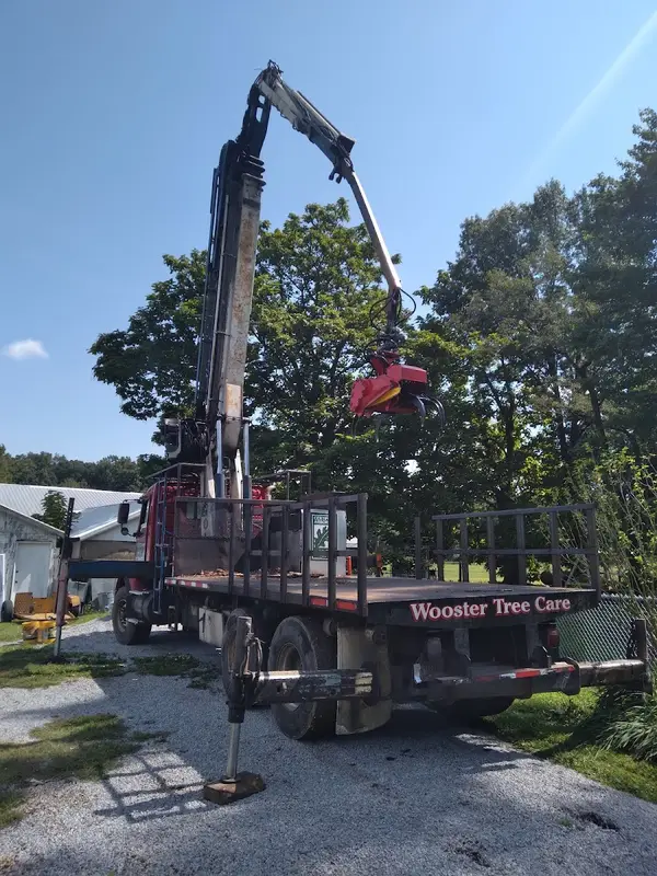Wooster Tree Service And Certified Arborist — view 1 of 1